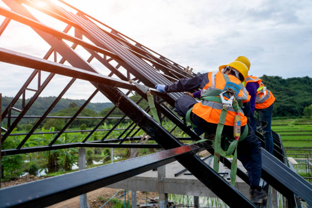 Best Roof Leak Repair  in Ovid, MI