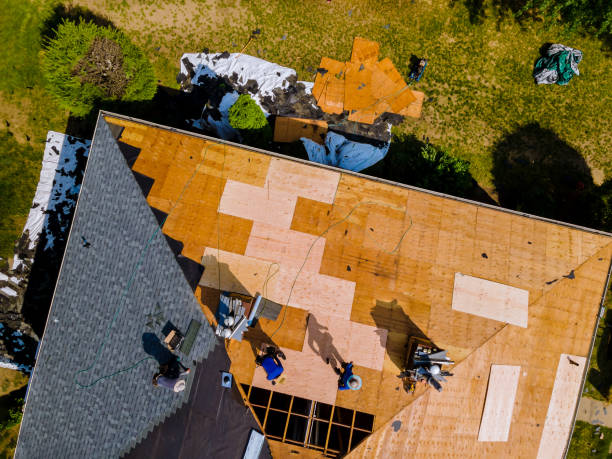 Best New Roof Installation  in Ovid, MI