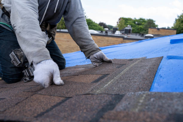 Tile Roofing Contractor in Ovid, MI