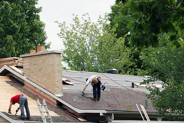 Best Gutter Installation and Roofing  in Ovid, MI