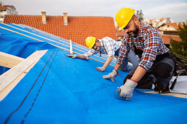 Gutter Installation and Roofing in Ovid, MI