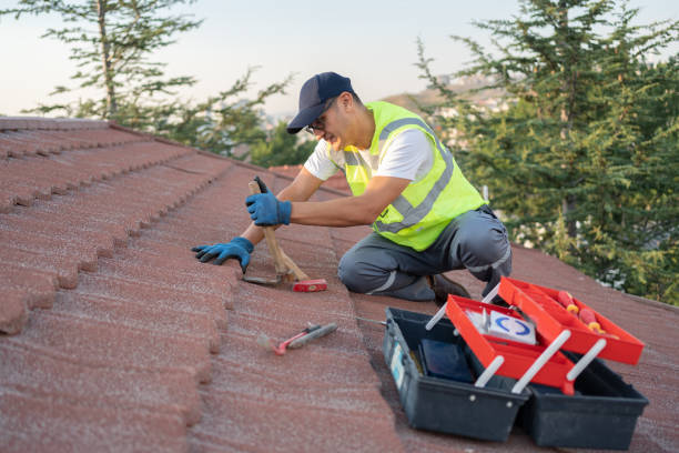 Best Emergency Roof Repair  in Ovid, MI