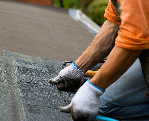 Best Best Roofing Contractors  in Ovid, MI