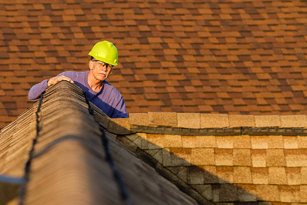 Roof Installation Near Me in Ovid, MI
