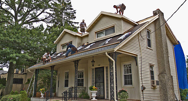 Best Flat Roof Repair Services  in Ovid, MI