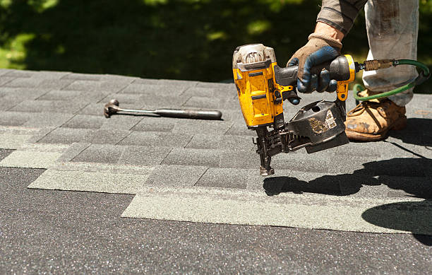 Best Metal Roofing Contractor  in Ovid, MI