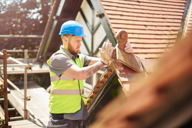 Best Best Roofing Contractors  in Ovid, MI