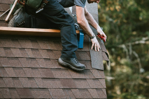 Best Local Roofing Companies  in Ovid, MI